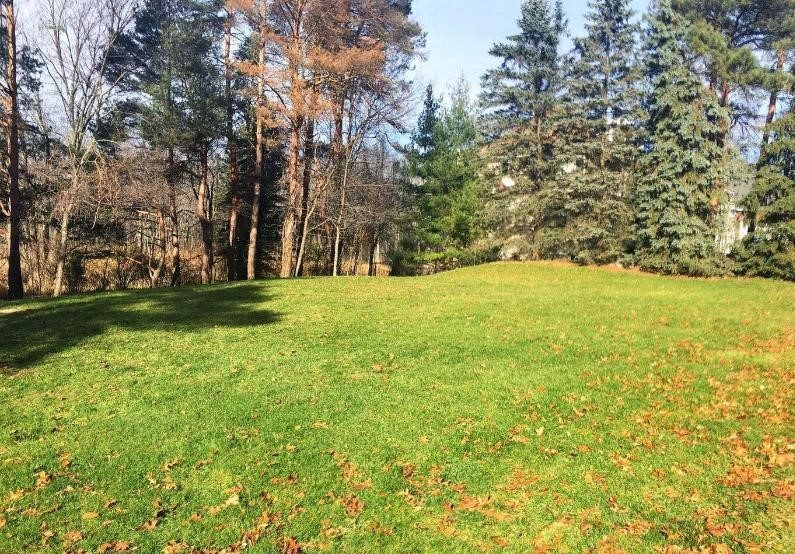 Sunny outdoor view of grassy land plot for a build on your lot home 